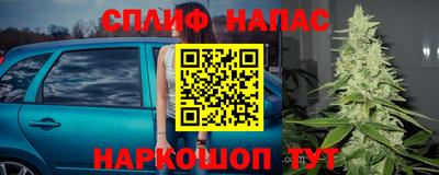 ECSTASY Моздок